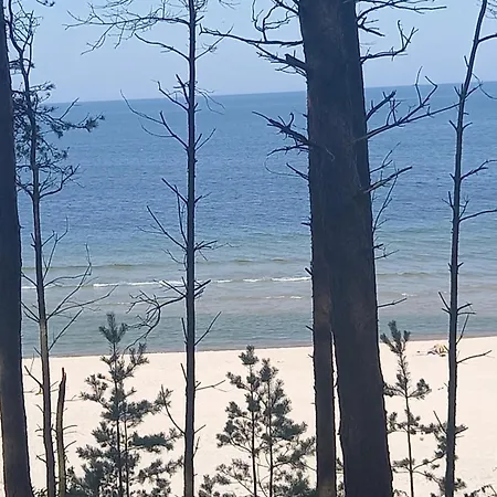 Miodowy Przy Plazy קריניצה מורסקה