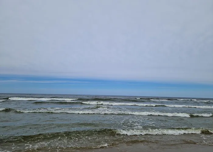 Miodowy Przy Plazy *